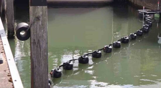 Inilah Langkah DLHP Cegah Sampah Masuk ke Teluk Ambon